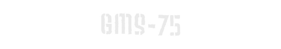 gms-75.png